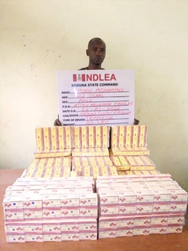 NDLEA intercepts drugs, arrests 41 suspects drug suspect