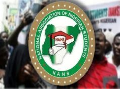 Xenophobic attacks: NANS threatens to picket South African firms in Nigeria Political campaigns, Education minister, Protest, NANS