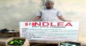 Lawyer arrested for dealing in Tramadol Lawyer