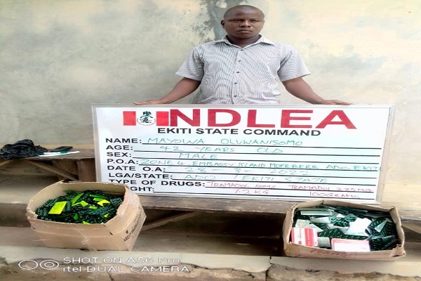 Arrested lawyer Lawyer