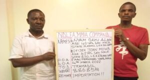 VIDEO: NDLEA intercepts 1.9m tramadol, codeine at Lagos airport Tramadol