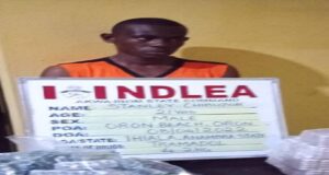Drug trafficker arrested with 11,190 Tramadol in Akwa Ibom Drug trafficker