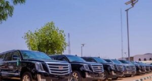 PHOTOS: Zamfara gov buys new cars for Emirs New cars, Zamfara