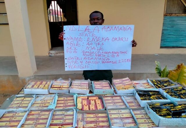 Drug trafficker arrested with 32,700 Tramadol in Adamawa Drug trafficker