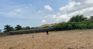 Davido acquires new land in Banana Island Banana Island