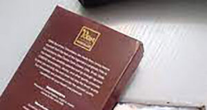 Ondo chocolate company targets $1m revenue Chocolate