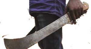 Son machetes father to death in Ogun Hands, Father, Ogun