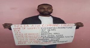 NDLEA intercepts skunk at Enugu airport, seizes drugged Milo in Edo Enugu airport