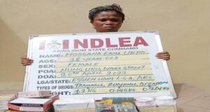 NDLEA seizes 88,734 Tramadol caps in Kano, Kaduna NDLEA