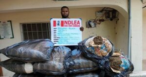 NDLEA seizes tons of tramadol, codeine in Zamfara, Kogi, Kano NDLEA