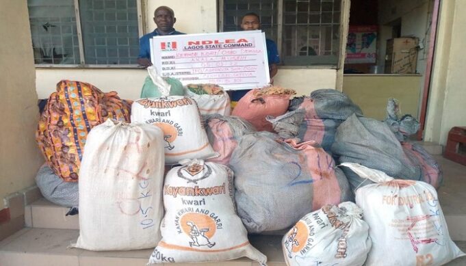 Arrested drug dealer NDLEA