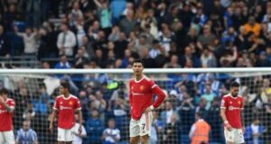 Brighton thrash Man Utd 4-0 Brighton