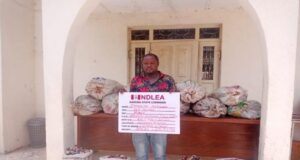 NDLEA seizes 2.3m tramadol, 2,919 bottles of codeine in Kaduna Codeine