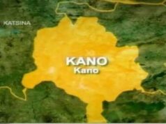 One killed, 3 injured as gunman opens fire at Kano wedding Kano auto crash, Children, Kano