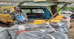 Police intercept drugs worth N3m in Lagos Drugs