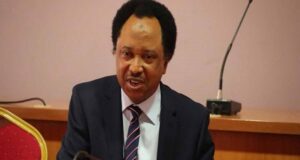 Shehu Sani: Aspirant used hunters, vigilantes to recover N100m from delegates Shehu Sani