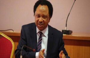 Tinubu honoured Buhari more than he did others — Shehu Sani Shehu Sani