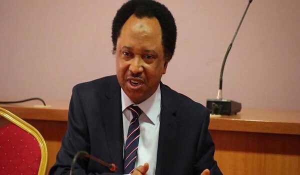 2027: Don’t waste money on court cases, Shehu Sani tells omitted candidates Shehu Sani