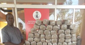 NDLEA arrests wanted drug dealer in Adamawa, seizes drugs in 5 states Wanted drug dealer