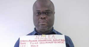 VIDEO: NDLEA arrests 11 drug traffickers at Lagos, Abuja airports NDLEA, Drug traffickers