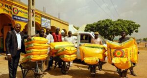 Fertiliser, herbicide’s prices soar in Kano as rainy season begins Fertiliser