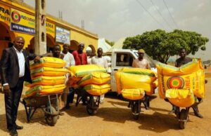 Fertiliser, herbicide’s prices soar in Kano as rainy season begins Fertiliser