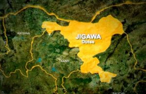 Police arrest 79 suspects, seize illicit drugs in Jigawa Warehouses, Horse rider, Jigawa
