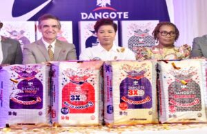 Dangote Cement declares N455.6bn profit, N30 dividend per share Dangote cement
