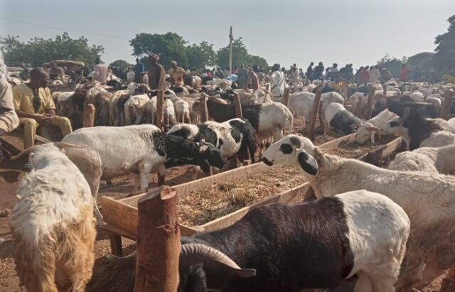 Eid-el-Kabir: Rams, food prices rise as traders bemoan low patronage Eid-el-Kabir