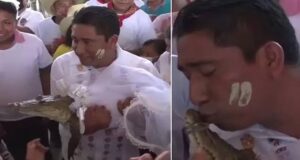 Mexican Mayor marries alligator Mayor, Alligator