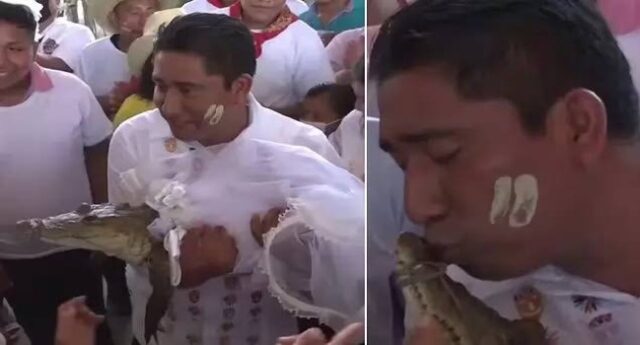 Mexican Mayor marries alligator Mayor, Alligator