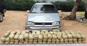 Police intercept N1.3m Indian hemp in Kano Indian hemp