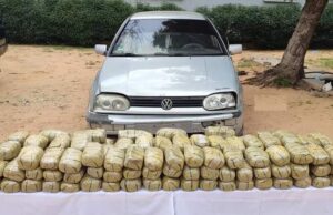 Police intercept N1.3m Indian hemp in Kano Indian hemp