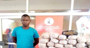 NDLEA arrests drug traffickers in Adamawa, Abuja, others