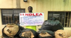 VIDEO: NDLEA seizes illicit drugs in Kaduna, Abuja, Sokoto NDLEA