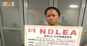 VIDEO: NDLEA arrests woman for hiding drugs in fetish bowls at Lagos airport Fetish bowls