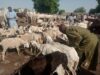 Jigawa butchers to hike prices as Eid-el-Kabir approaches Sallah