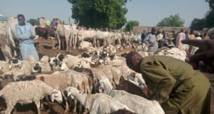 Eid-el-Kabir: Lagos traders, consumers groan over low patronage, funds Sallah