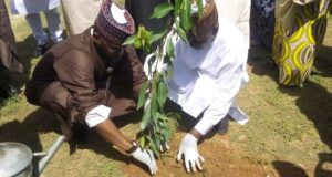 ADCI partners Kano varsity to plant 300 trees on campus