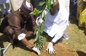 ADCI partners Kano varsity to plant 300 trees on campus
