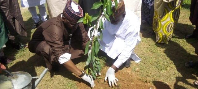 ADCI partners Kano varsity to plant 300 trees on campus