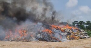 NDLEA destroys 560,068kg cocaine, cannabis in Lagos NDLEA
