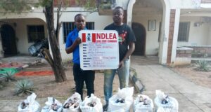 NDLEA seizes diazepam, codeine in Zamfara, Kogi Diazepam