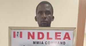 VIDEO: NDLEA seizes 442 Meth in smoked fish at Lagos airport NDLEA