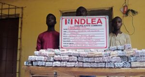 NDLEA intercepts 1.1m tramadol tabs in Kaduna, others in Lagos, Kano NDLEA, tramadol