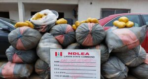 NDLEA raids car shop in Lagos, recovers drugs NDLEA