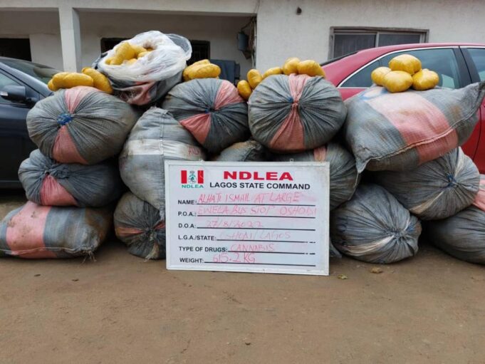 Recovered drugs NDLEA