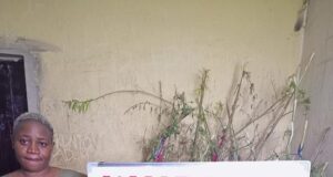 VIDEO: NDLEA arrests woman planting cannabis at Abuja residence NDLEA