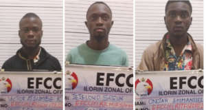 Musician, two others jailed 20 years for internet fraud