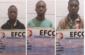 Musician, two others jailed 20 years for internet fraud